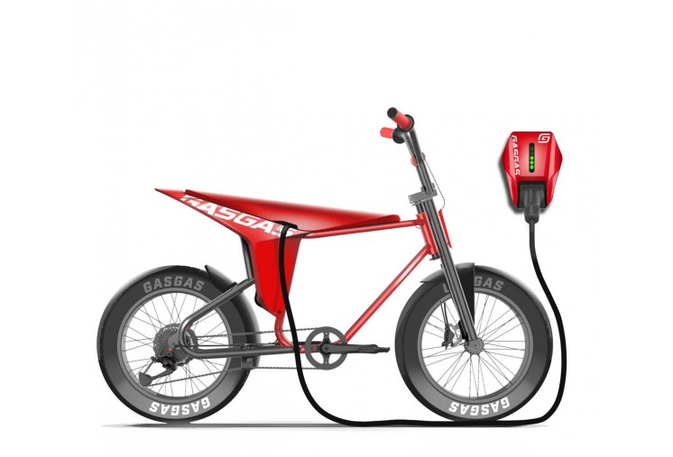 GasGas MOTO2