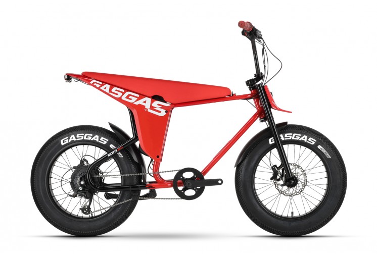 GasGas MOTO2